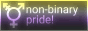 Non-binary pride